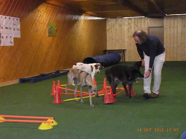 med_Cavaletti-Labyrinth Shakira und Luis.jpg (600 x 450)